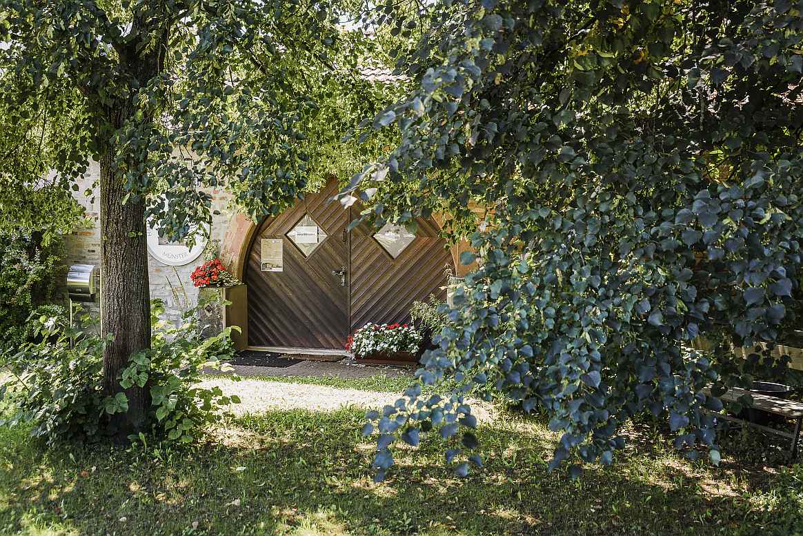 Lindenbaum vor dem Museum an der Gersprenz