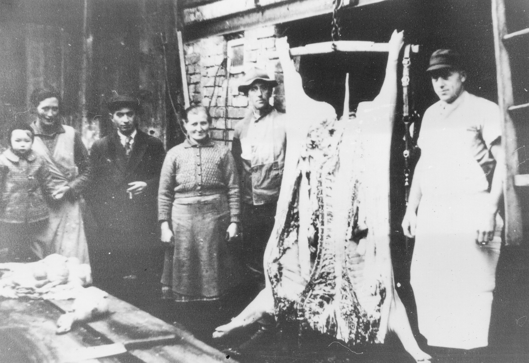 Hausschlachtung in Münster Hausschlachtung in Münster