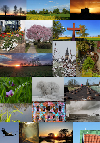 Bilder des Bilderwettbewerbs