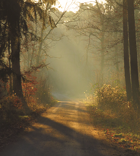 Fotowettbewerb Platz 1